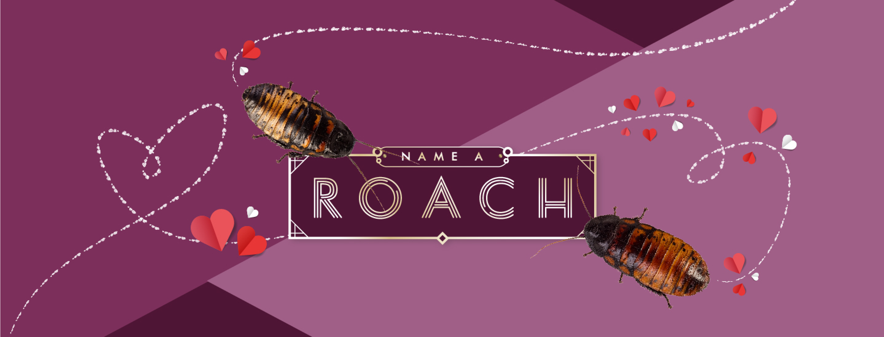 roach plush